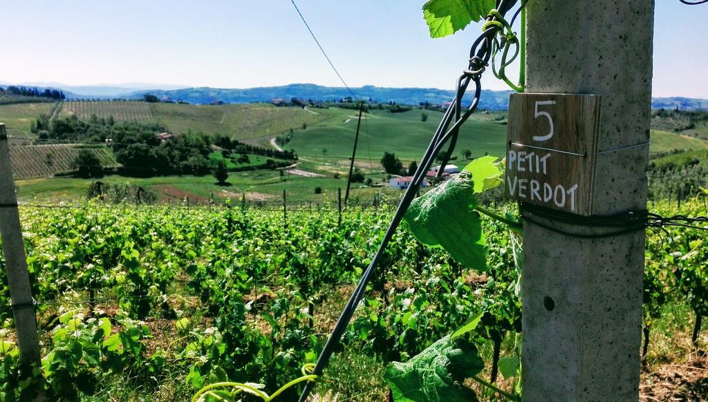 Agriturismo Luggiano فينشي المظهر الخارجي الصورة