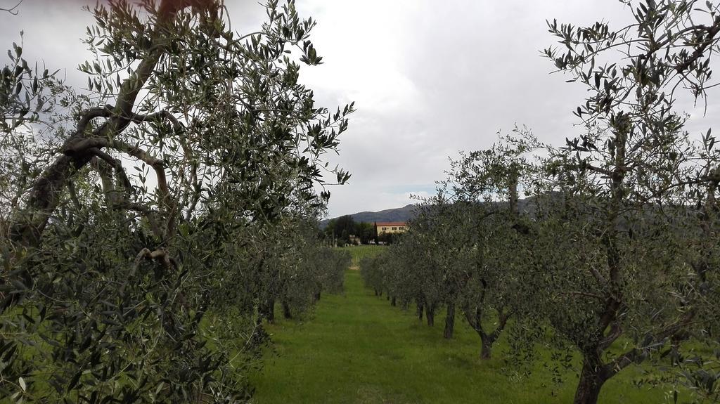 Agriturismo Luggiano فينشي المظهر الخارجي الصورة