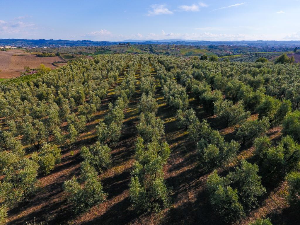 Agriturismo Luggiano فينشي المظهر الخارجي الصورة